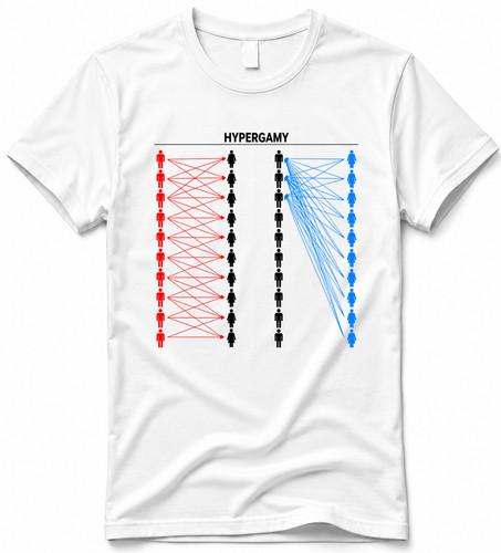 Shirt hypergamy diagram - t,