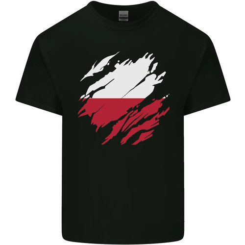 Zerrissene polen flagge - polen,